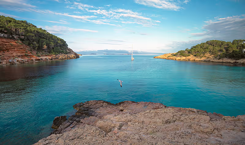 Ibiza Cala Salada & Cala Saladeta