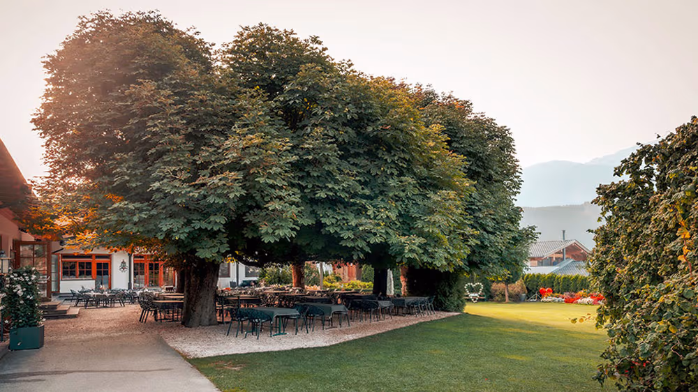 Gartenhotel Maria Theresia