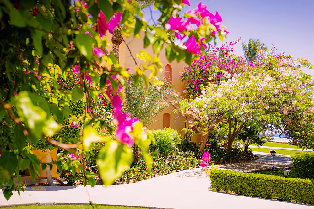 Ägypten Steigenberger Hotel Coraya Beach